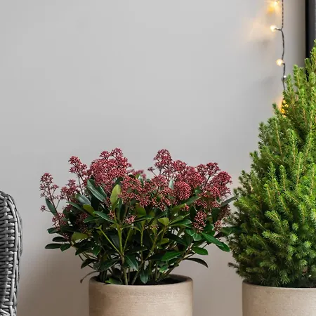 Apartment Aloha Centrum *